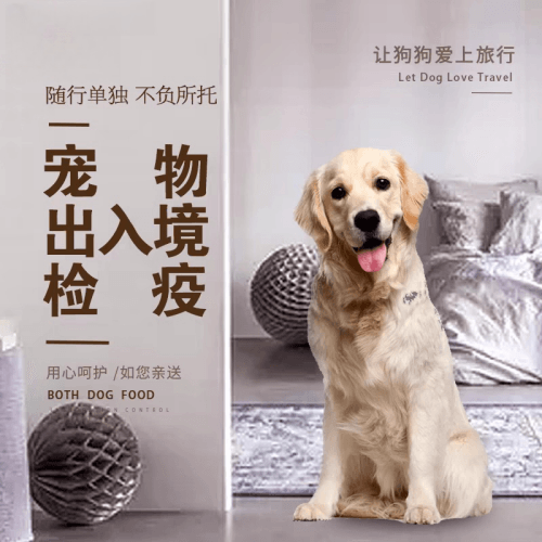 嘉兴市宠物托运到哥伦比亚猫狗宠物入境规定和