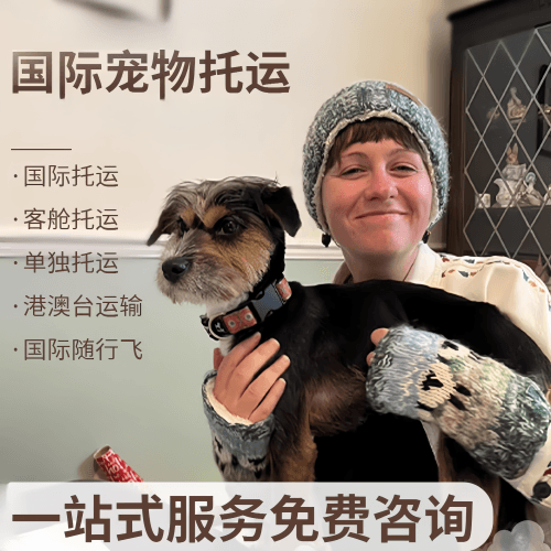 嘉兴市国际宠物托运到阿根廷宠物入境规定和要