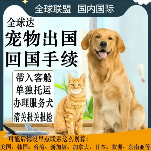 嘉兴市宠物托运到柬埔寨宠物入境规定和要求