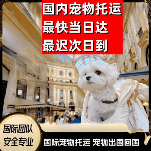 嘉兴市到澳大利亚（澳洲）宠物入境规定和要求