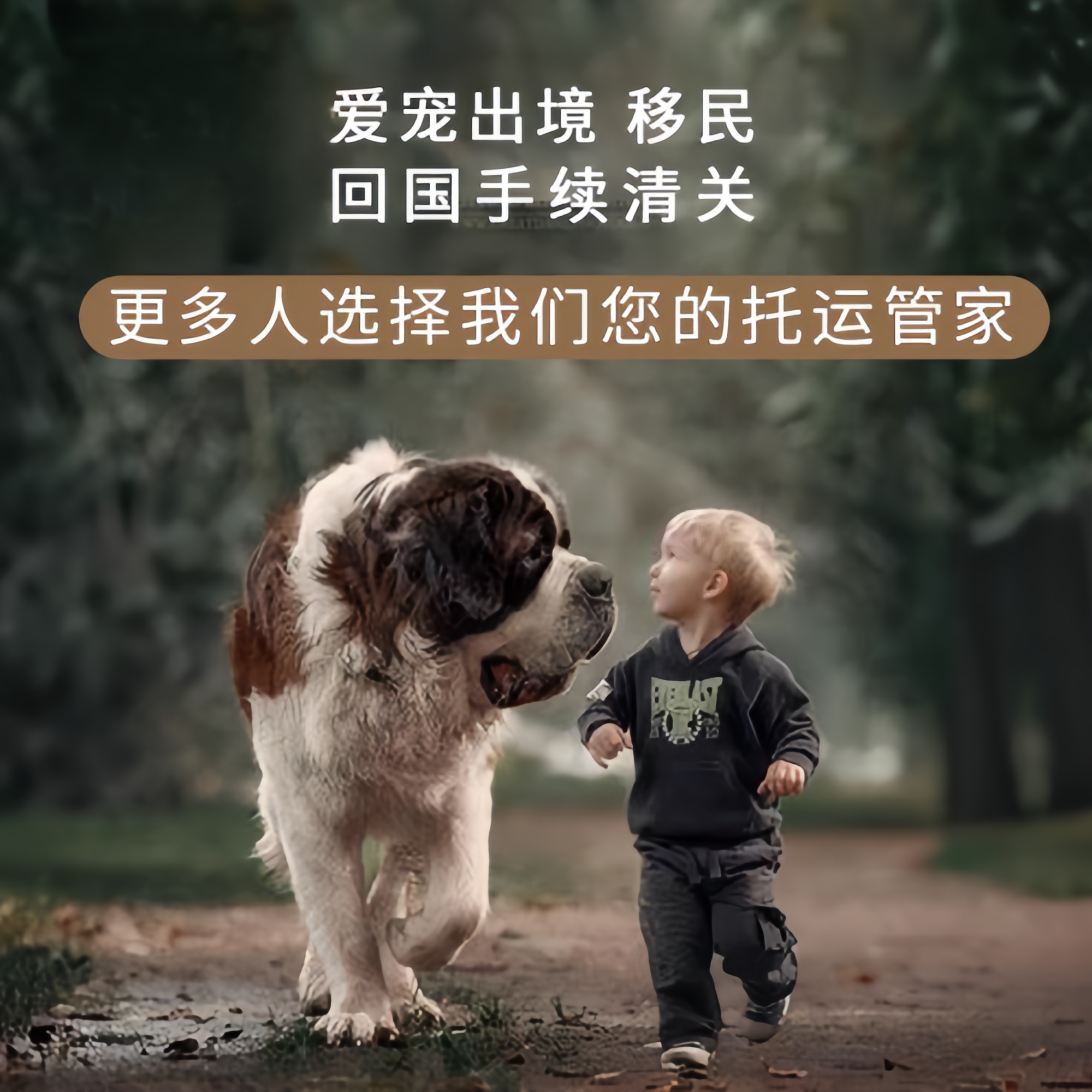 满财嘉兴市宠物全球达宠物托运在遵守入境目的地政策的条件
