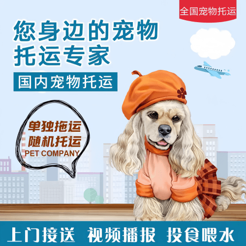 满财嘉兴市宠物全球达宠物托运作为专业的宠物运输代理机构